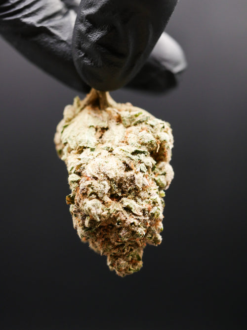 Amnesia haze (fleur Indoor)