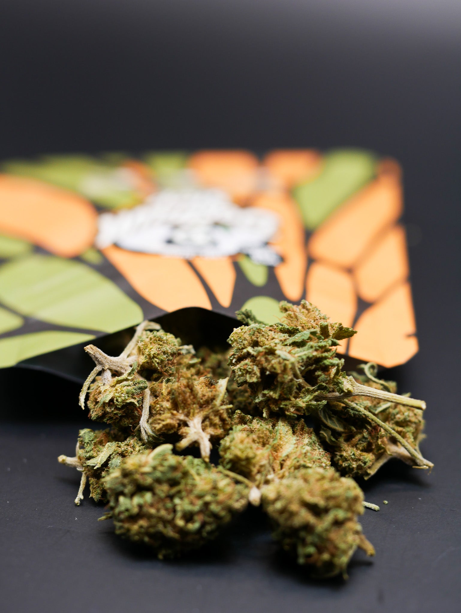 Z kittles Bx (Fleur Outdoor)