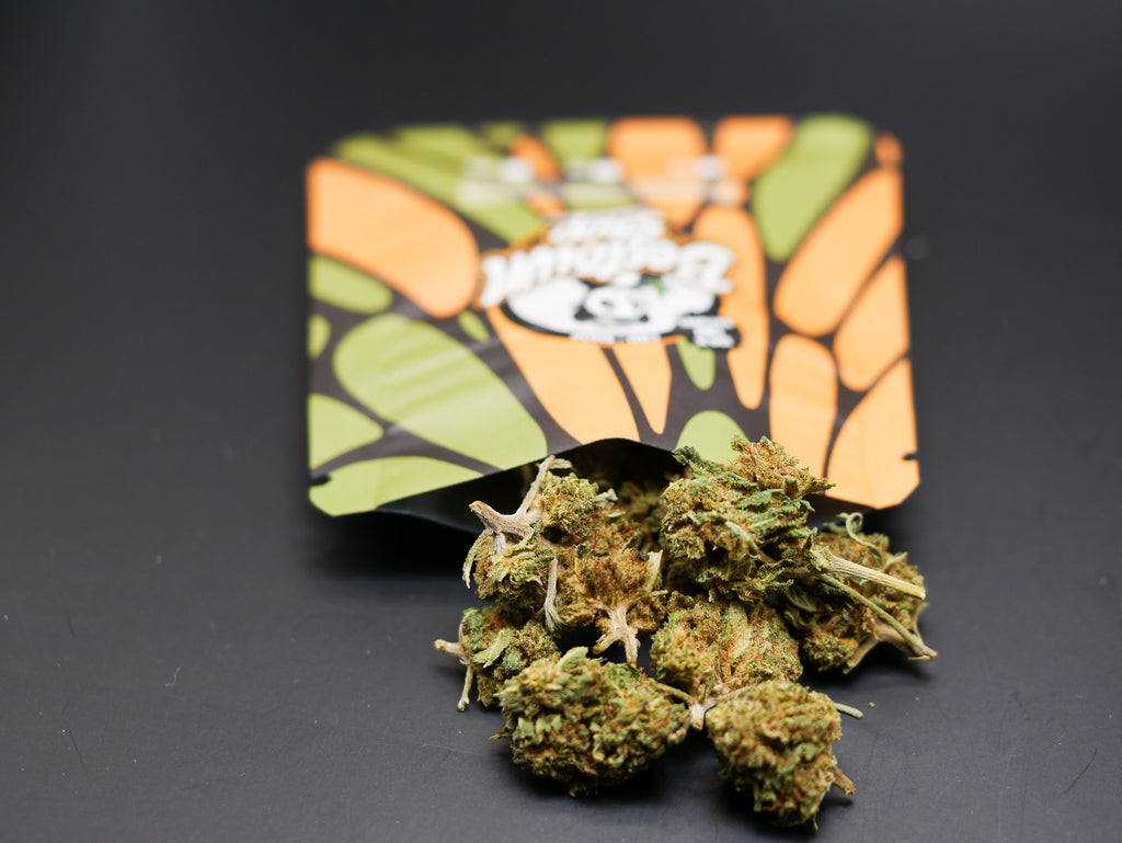 Z kittles Bx (Fleur Outdoor)