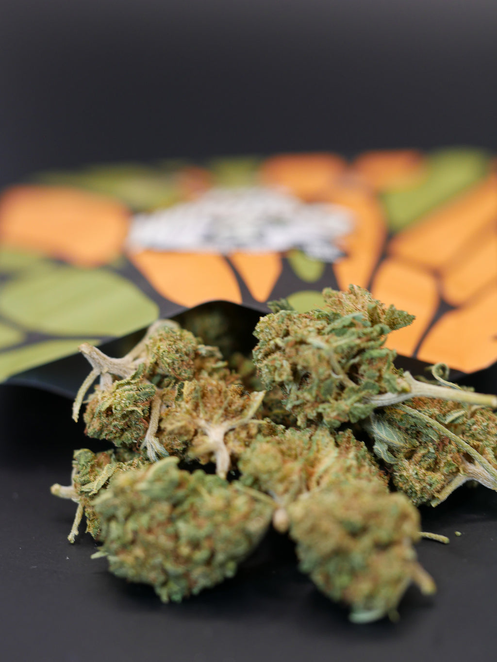 Z kittles Bx (Fleur Outdoor)