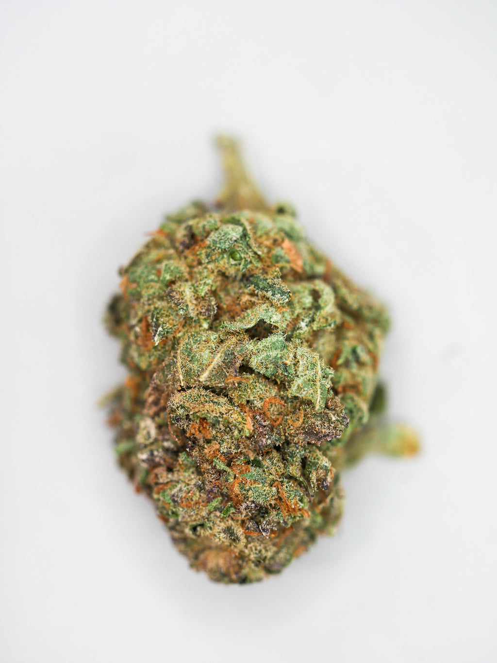 Amnesia Haze (fleur Indoor)