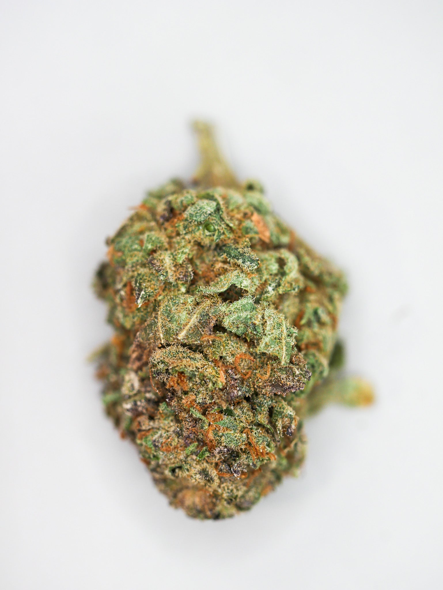 Amnesia Haze (fleur Indoor)