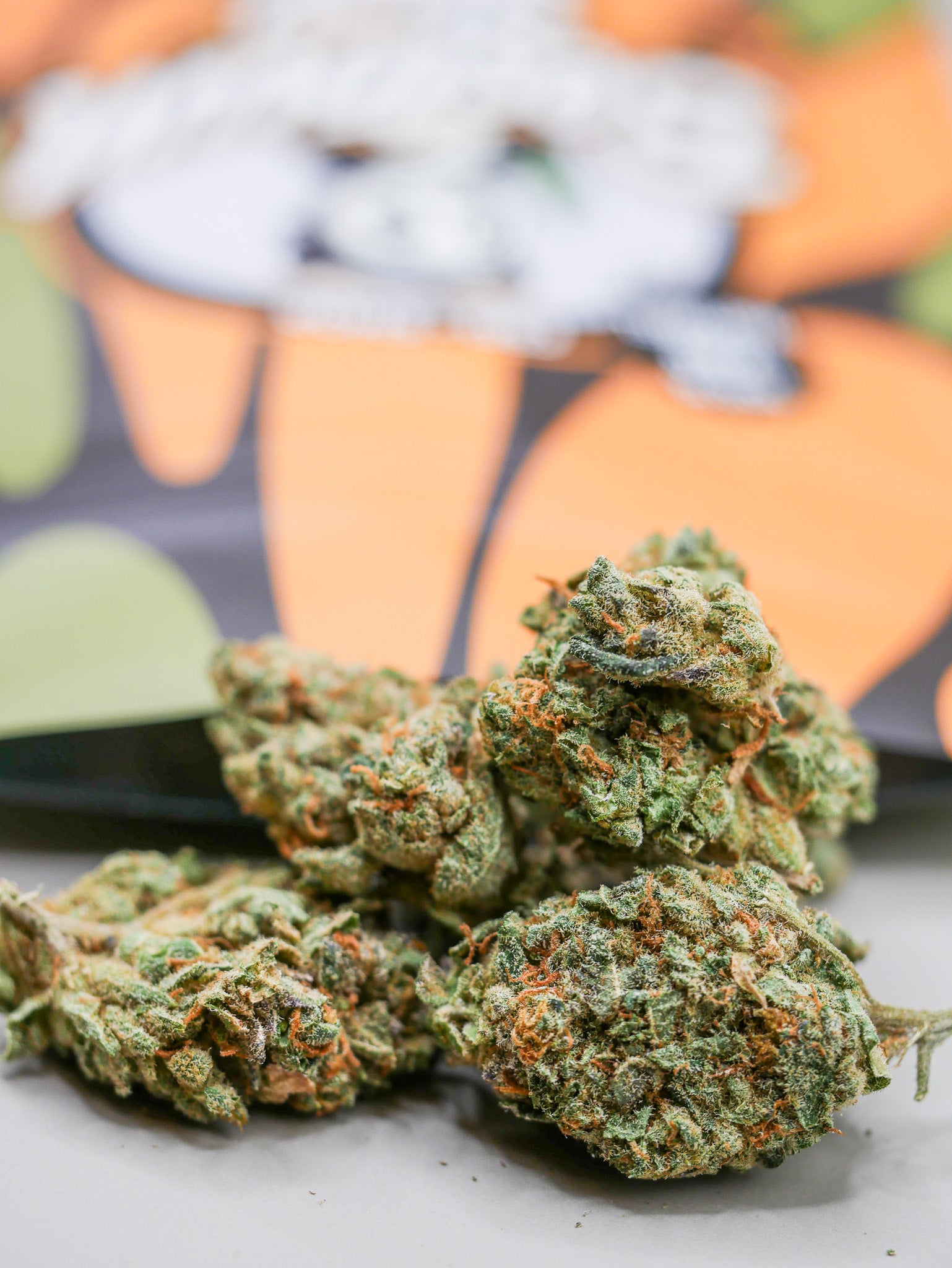Amnesia Haze (fleur Indoor)