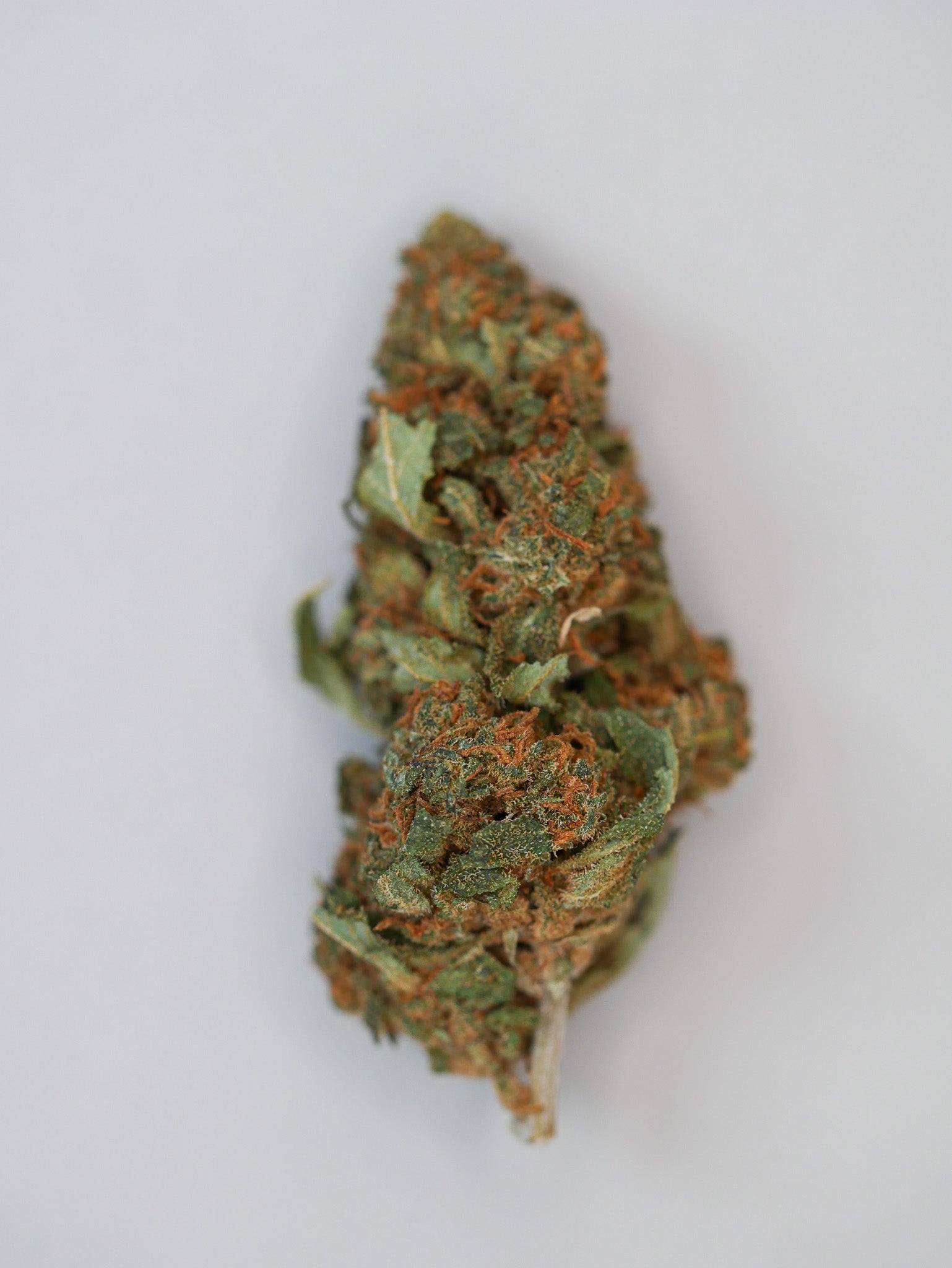 Strawberry (Fleur glasse house)