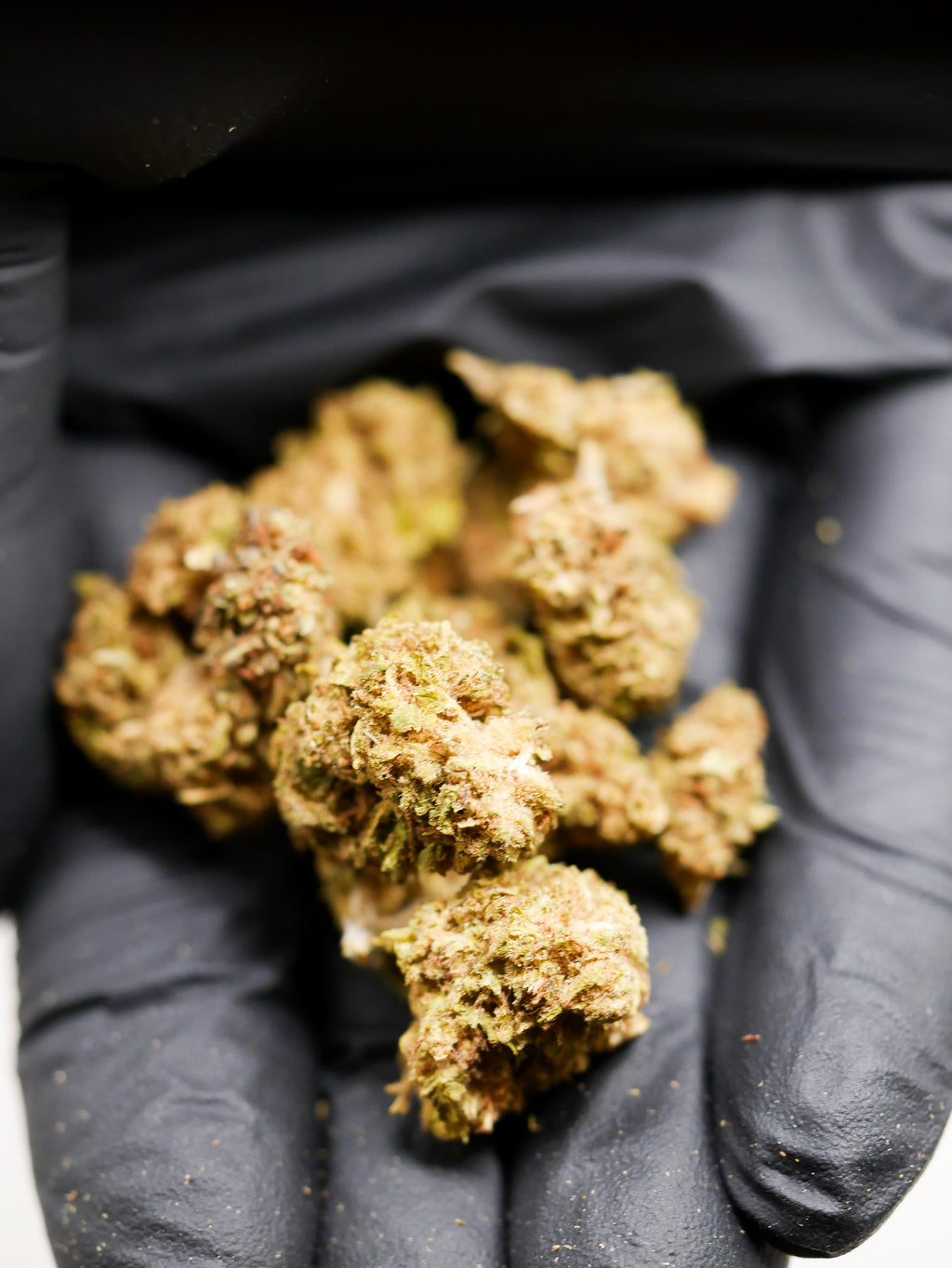 OG Kush (Fleur Outdoor)