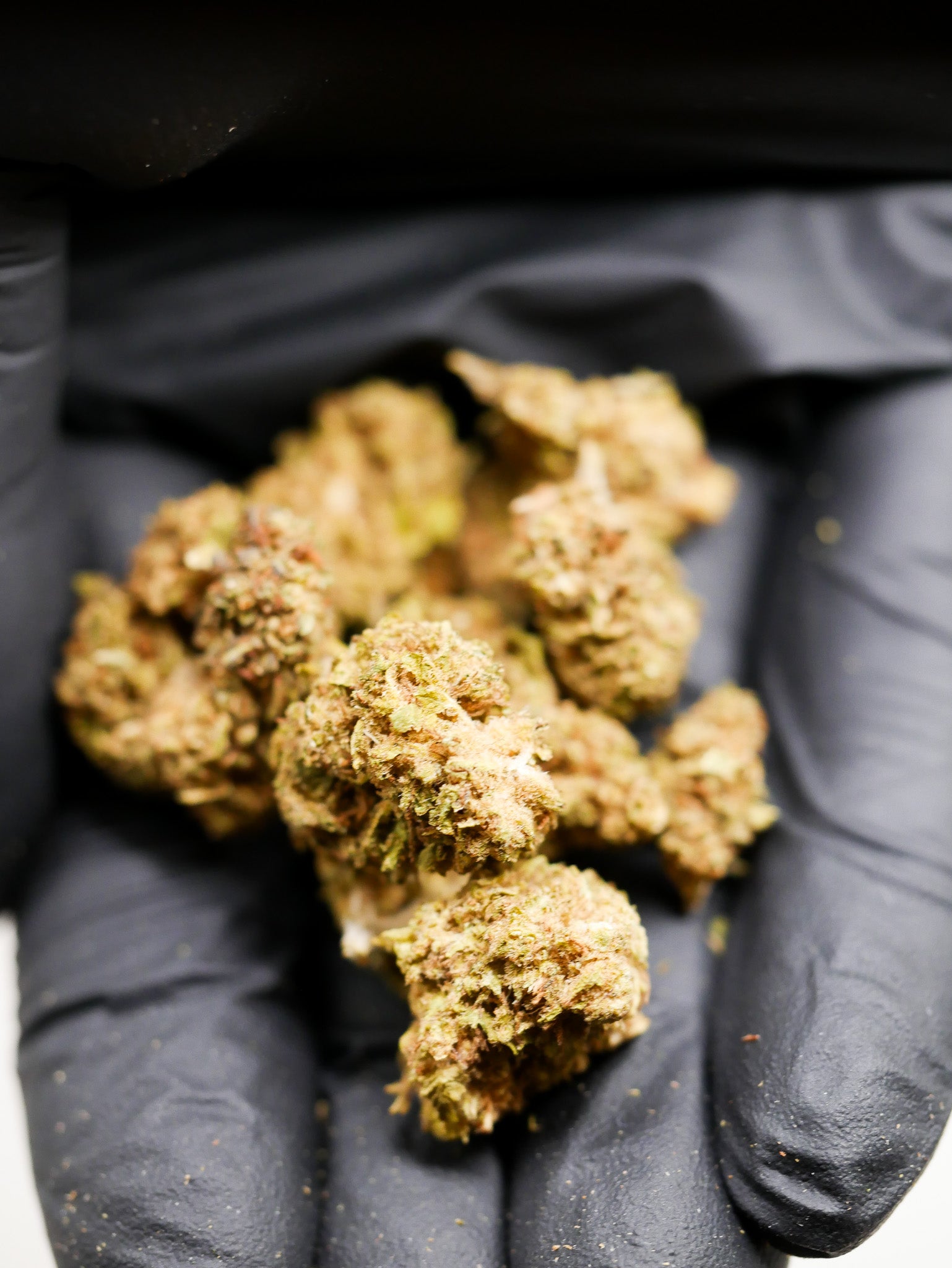 OG Kush (Fleur Outdoor)