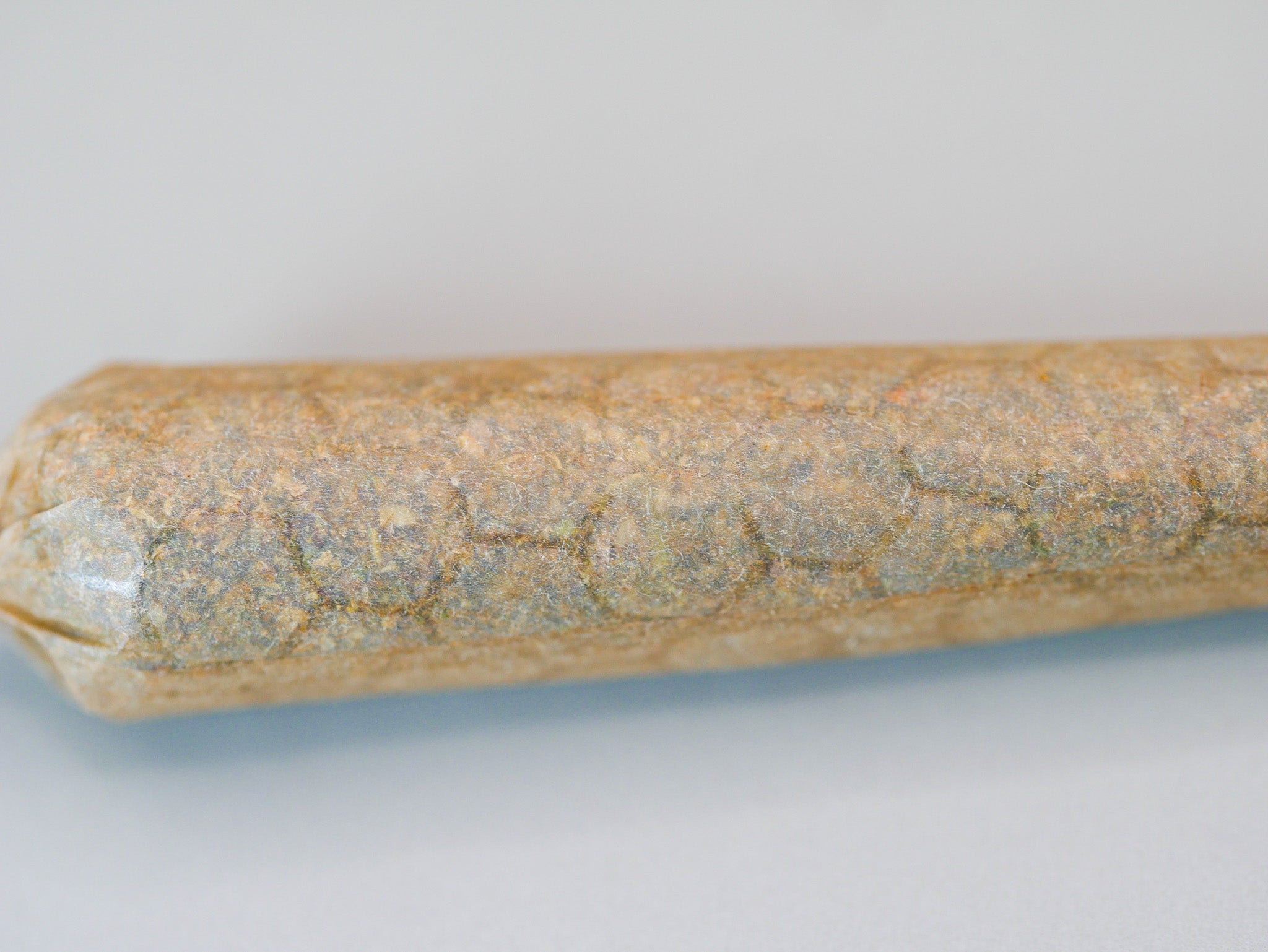 Le Bambou Californien