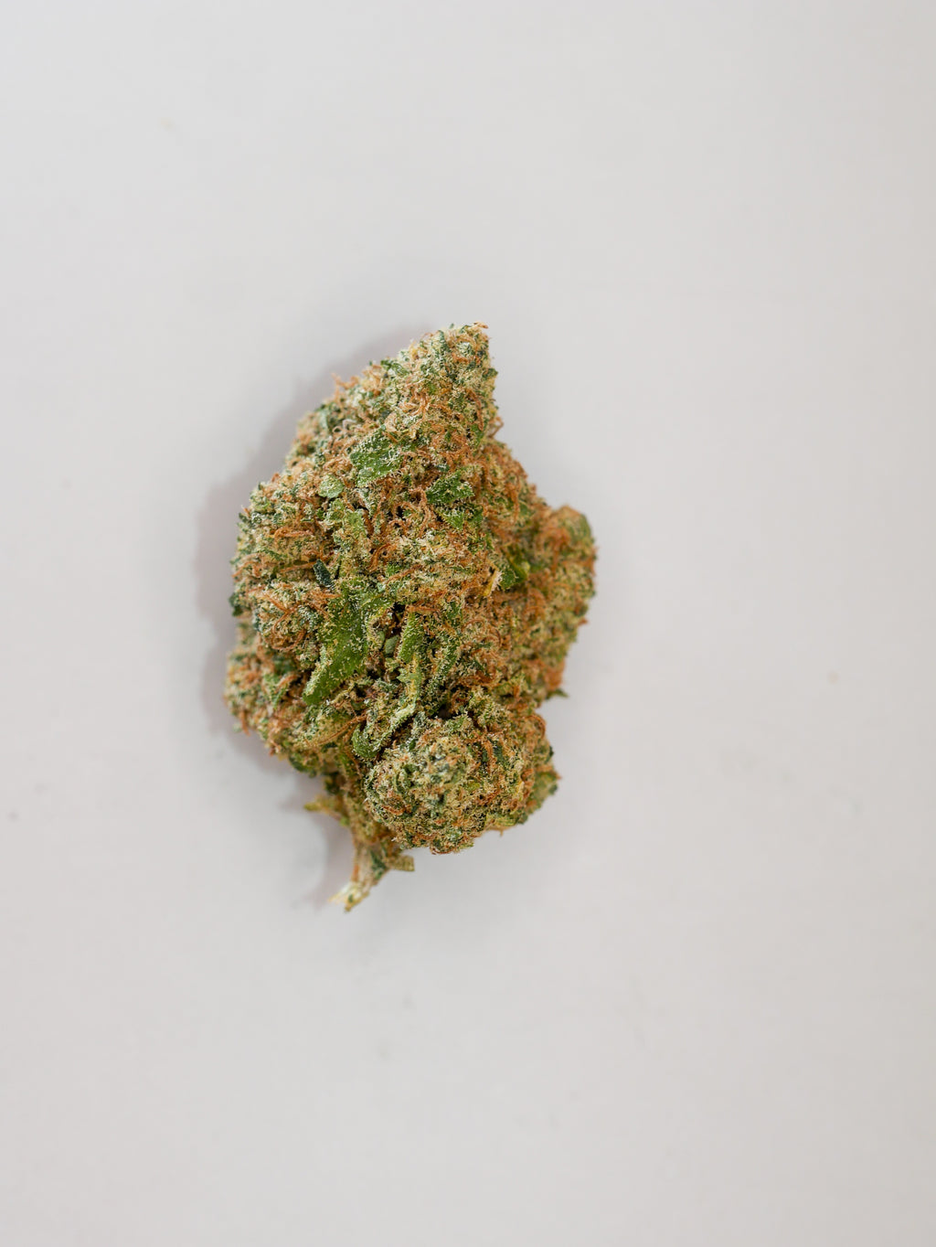 Dosidos Cali ( indoor)