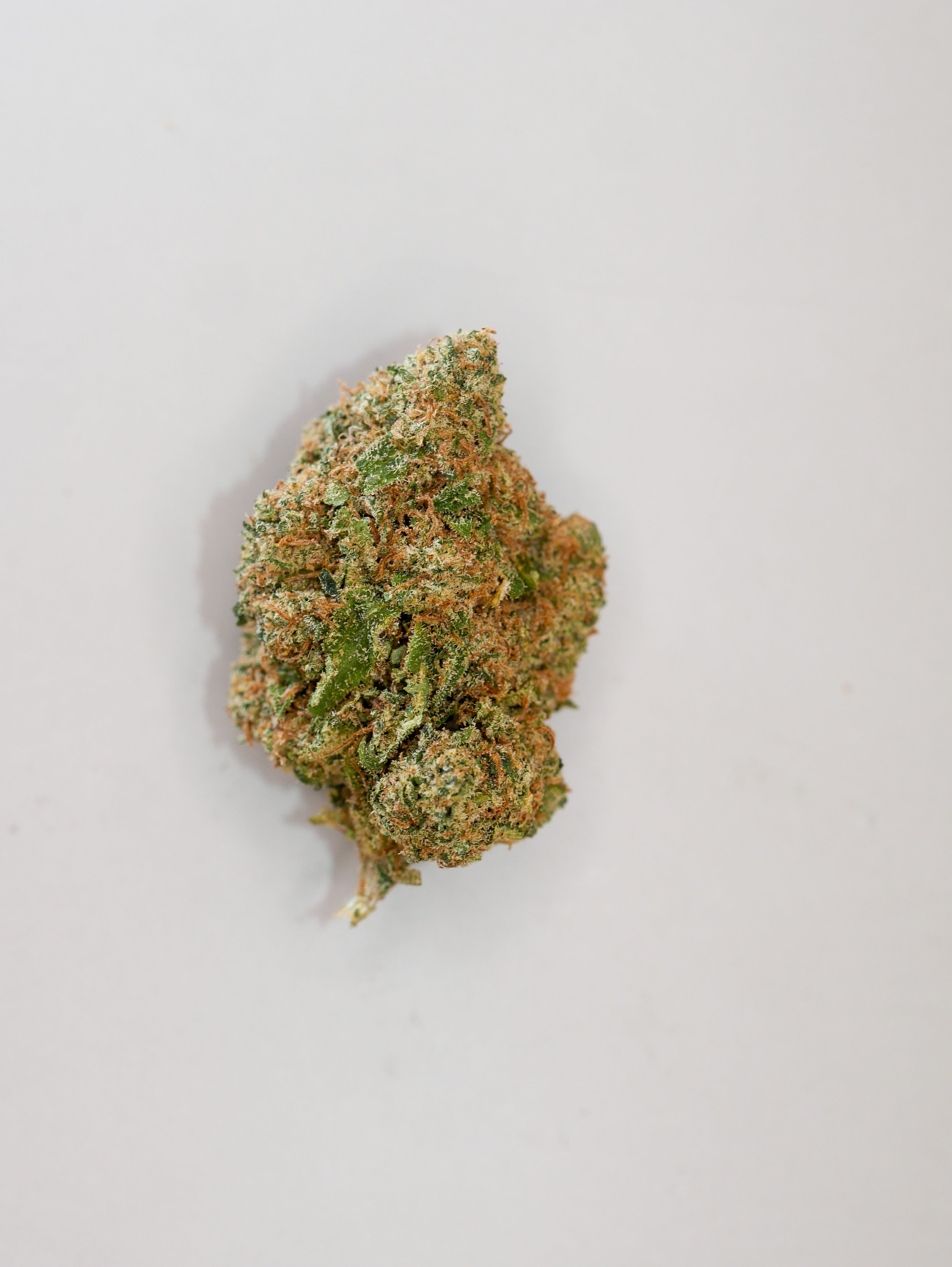 Dosidos Cali ( indoor)