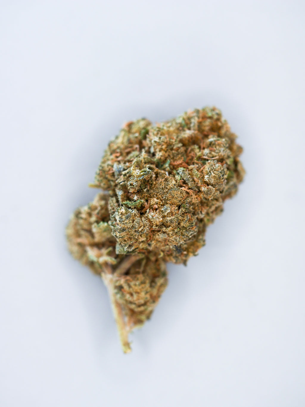 Watermelon ( indoor)