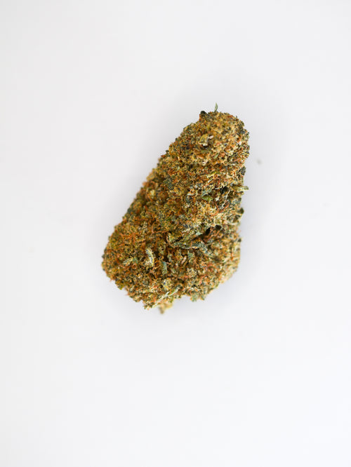 Cheese ( indoor)