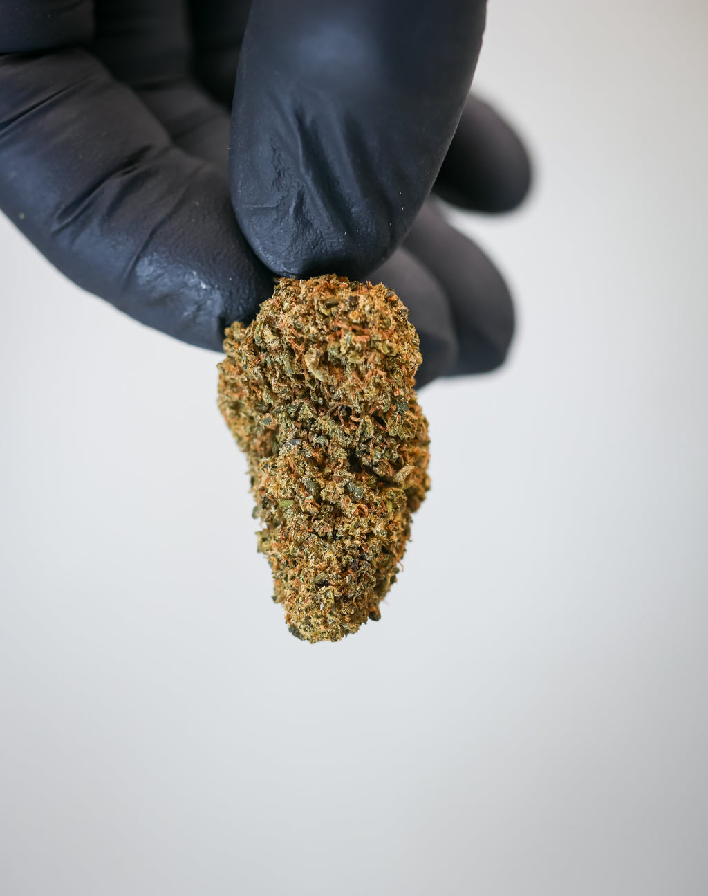 Cheese ( indoor)