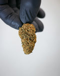 Cheese ( indoor)