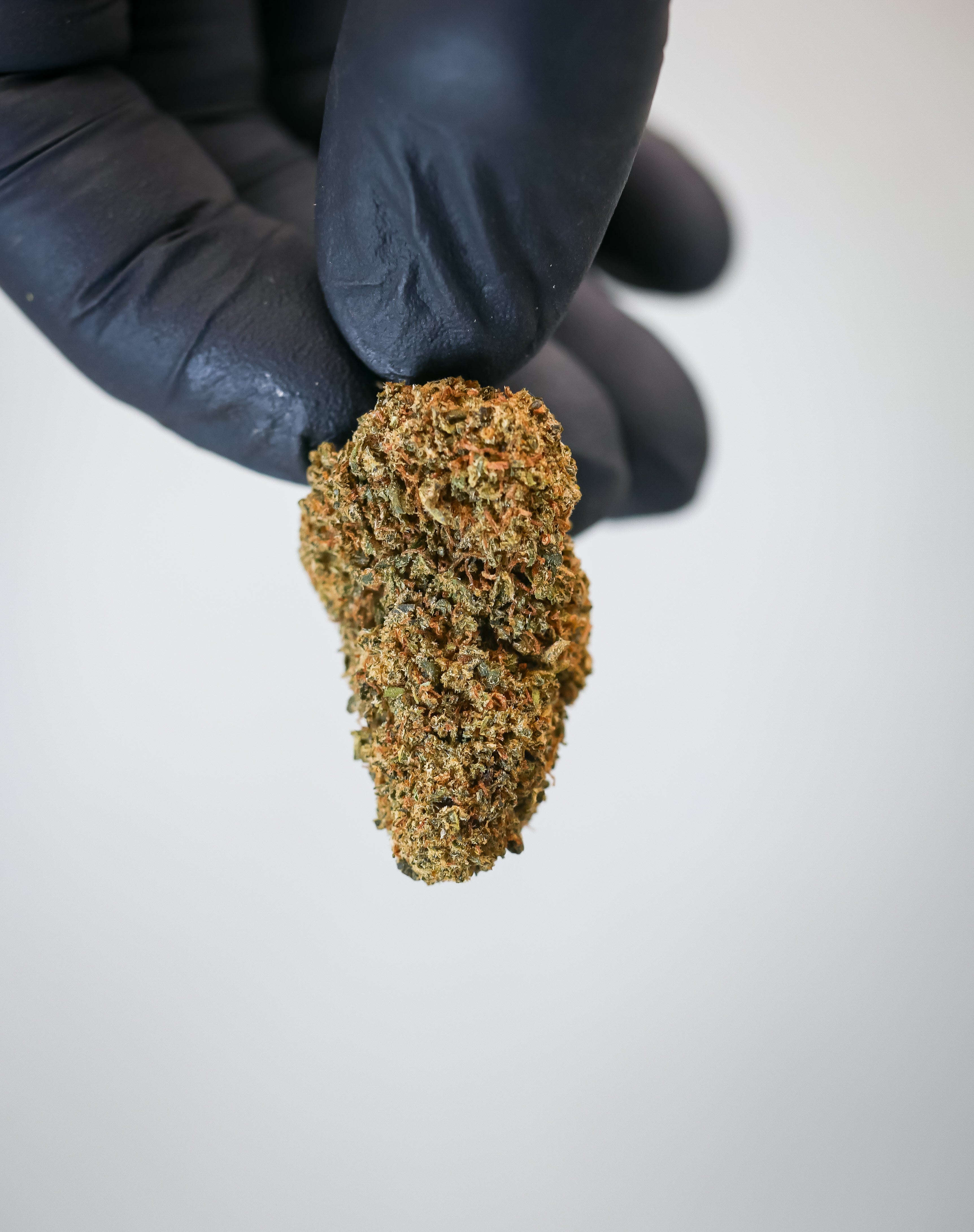 Cheese ( indoor)