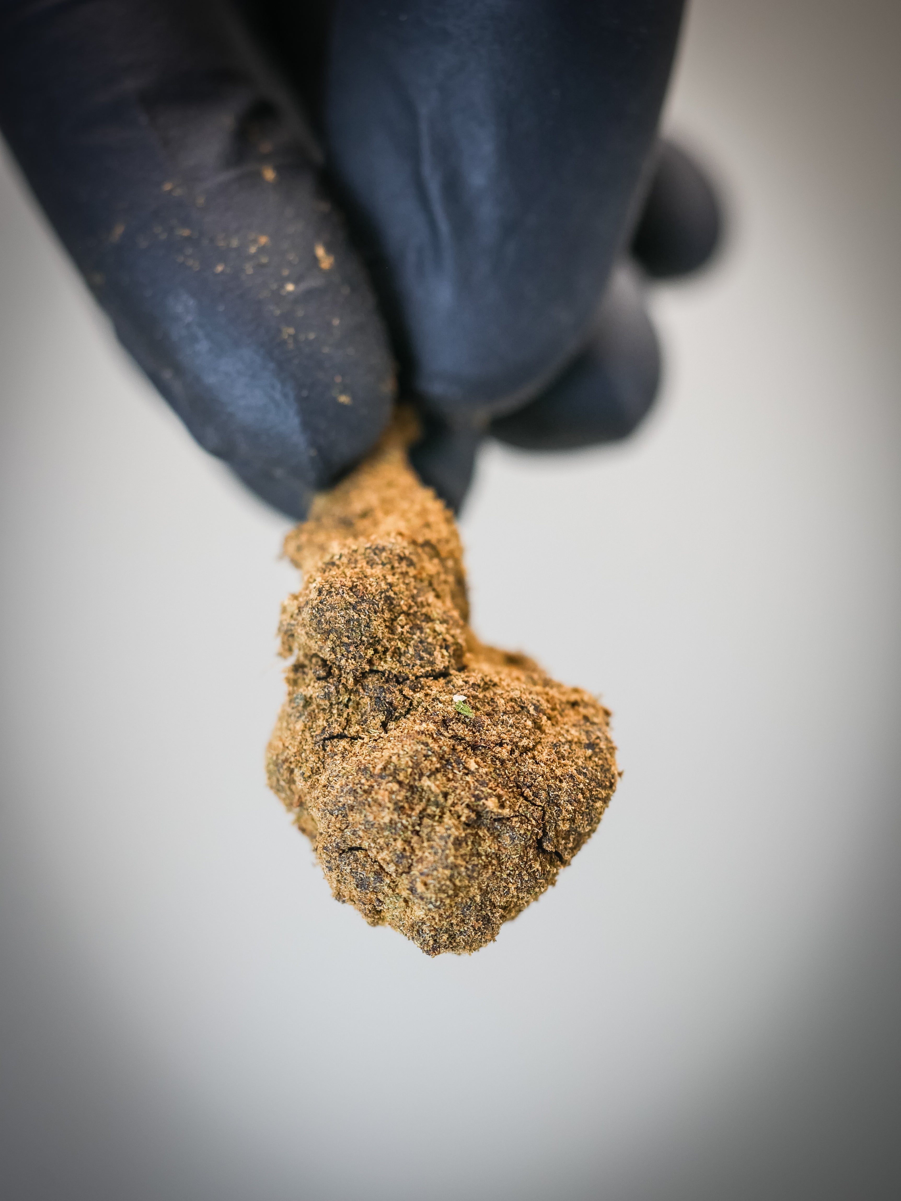 Moon Rock ( indoor)