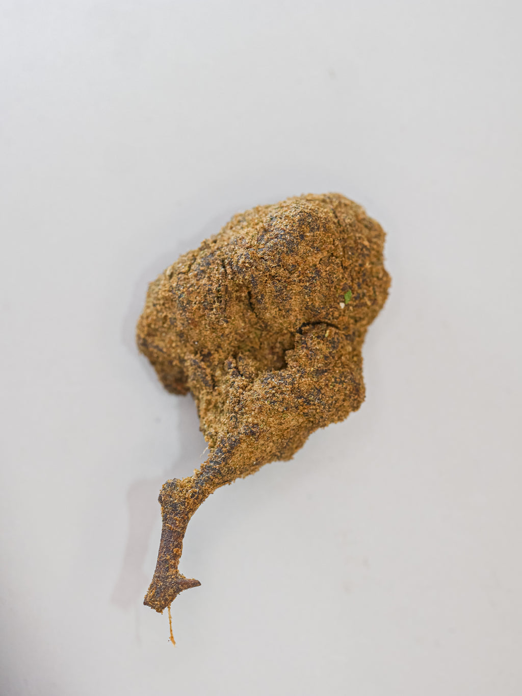 Moon Rock ( indoor)