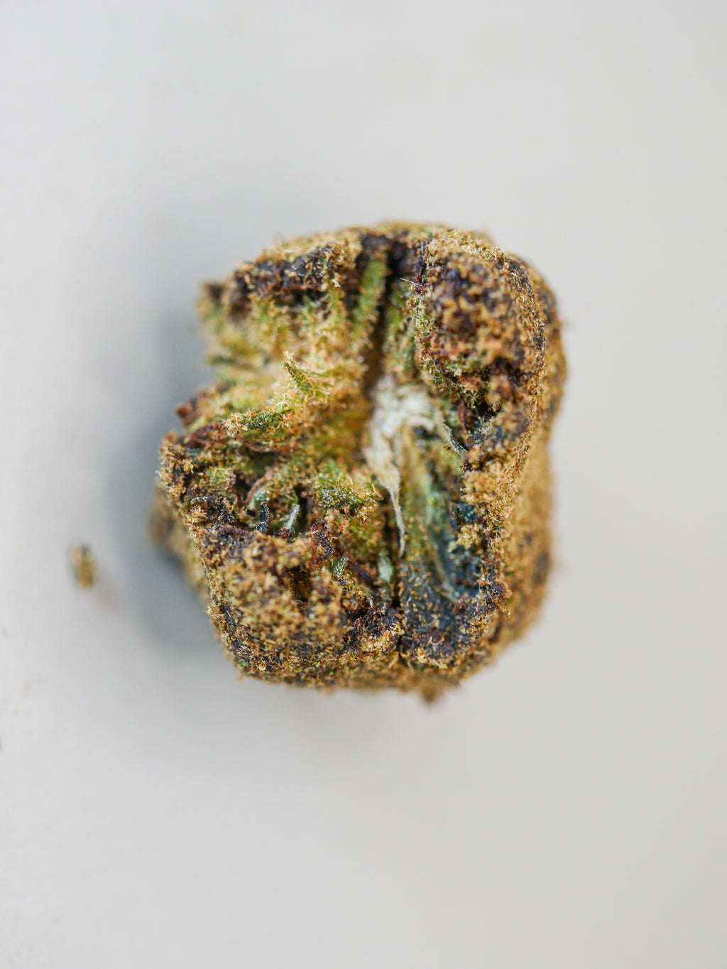 Moon Rock ( indoor)