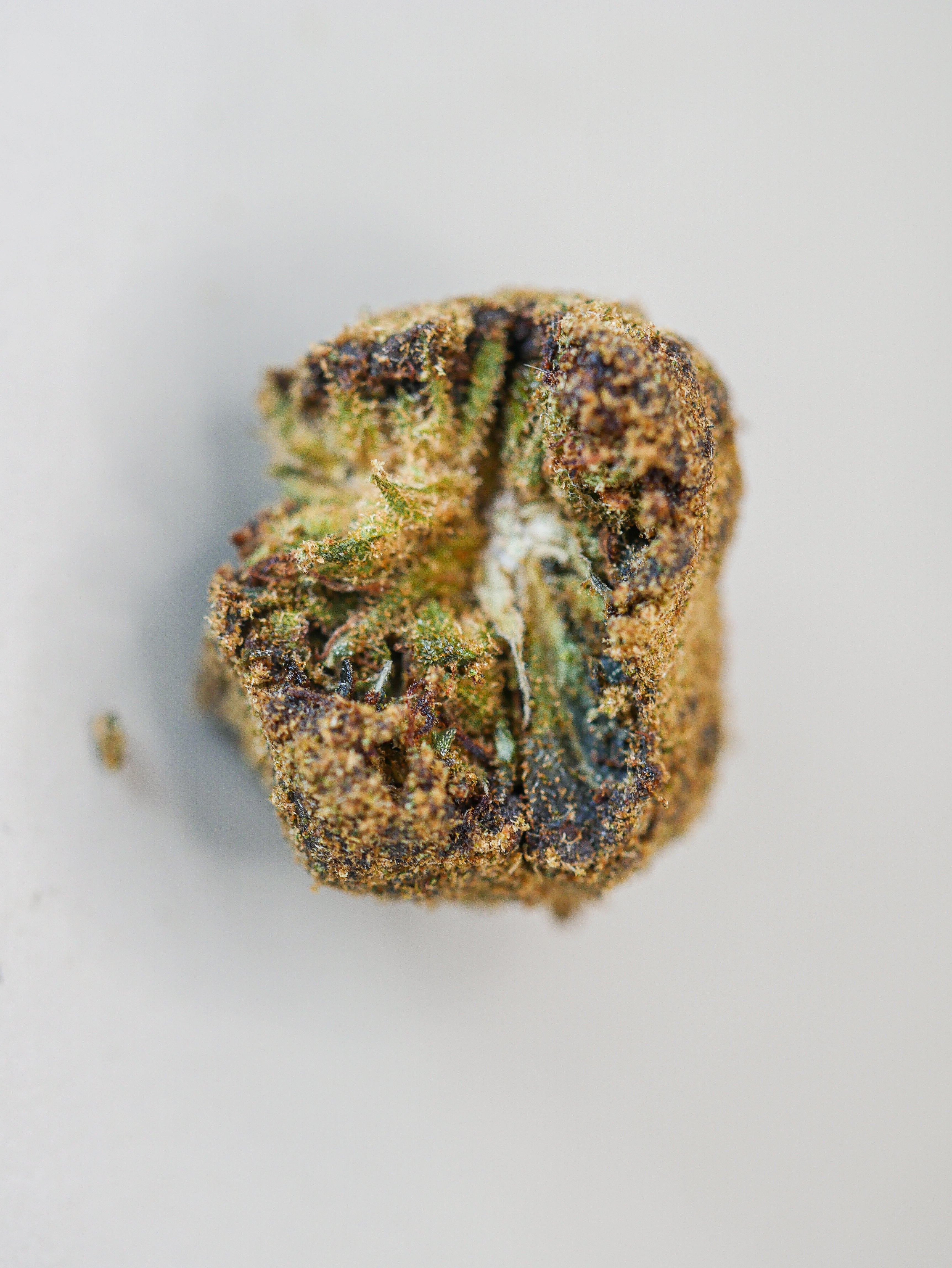 Moon Rock ( indoor)