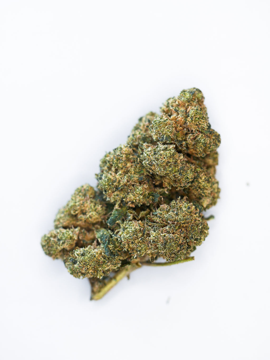 Orange Bud 40 % ( indoor)